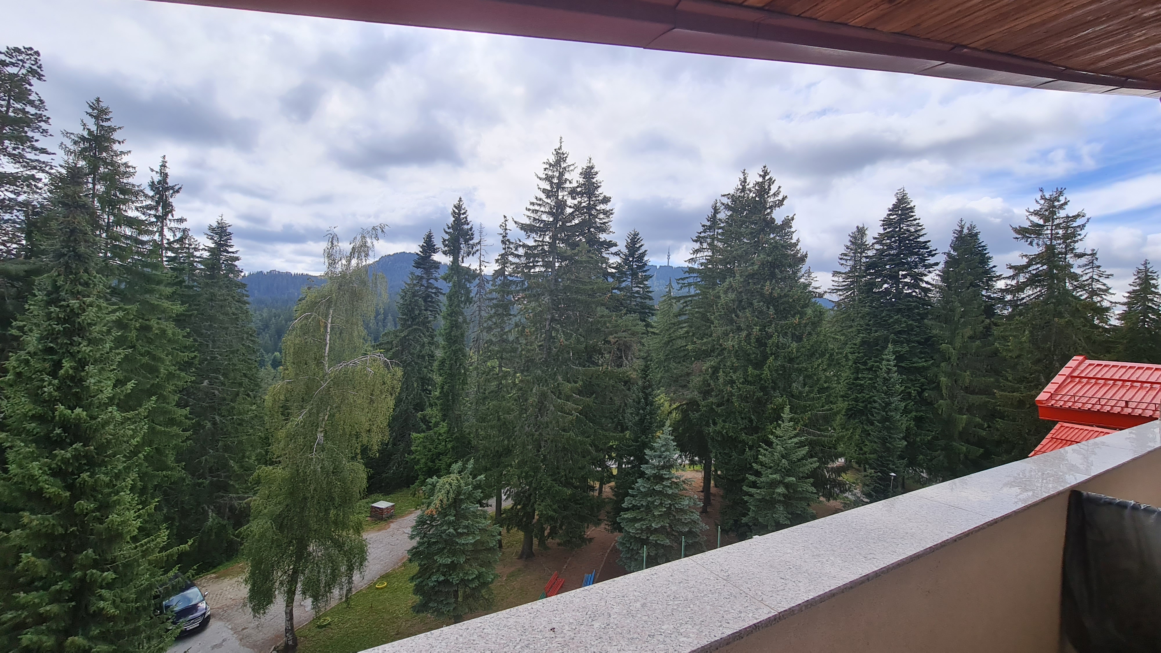 Примерен изглед: гора край Hotel Elina